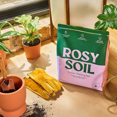 Rosy Soil Indoor Potting Mix