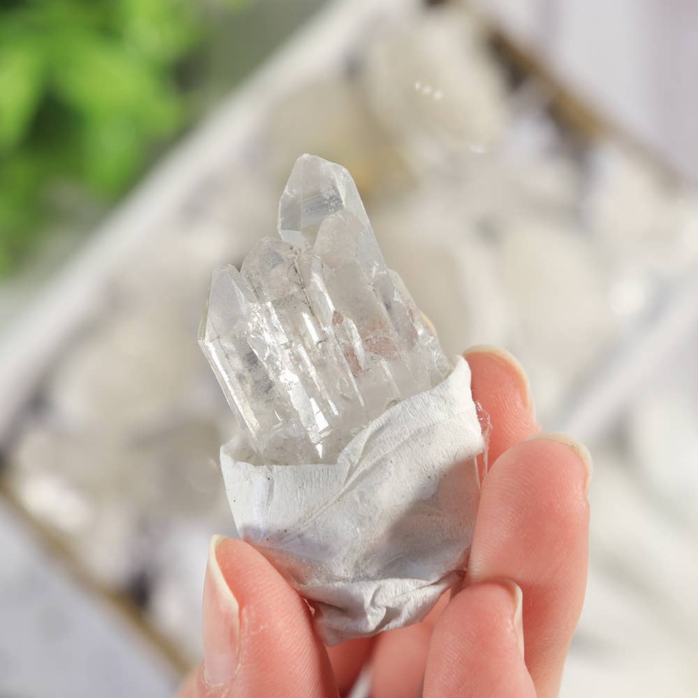 Clear Quartz Clusters in a Flat (Small)