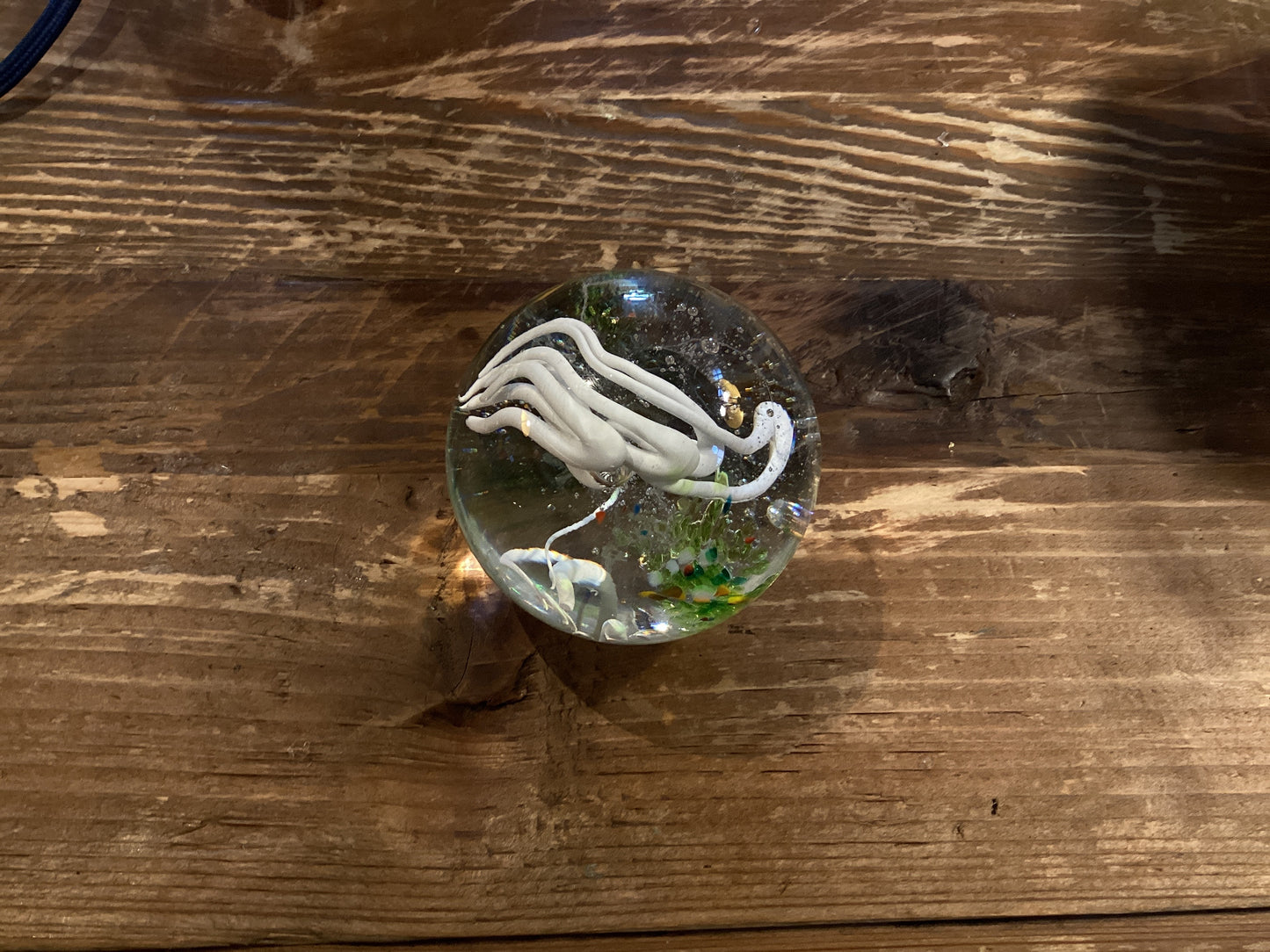 Simon Waranch Glass Paperweight (95)