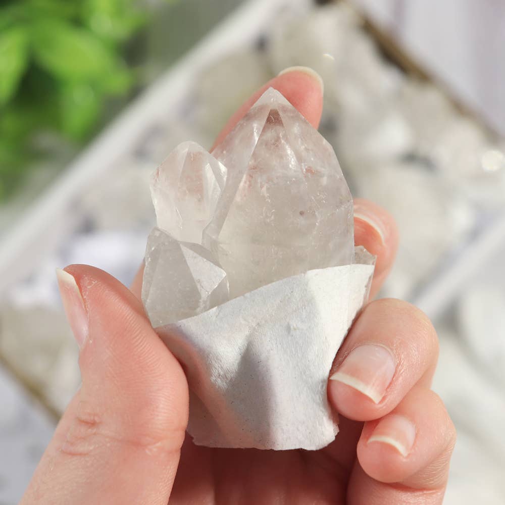 Clear Quartz Clusters in a Flat (Small)