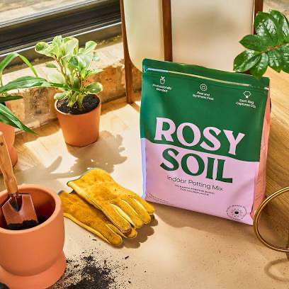 Rosy soil indoor potting mix