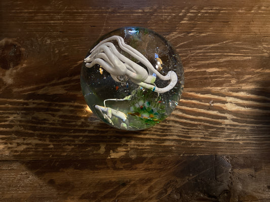 Simon Waranch Glass Paperweight (95)