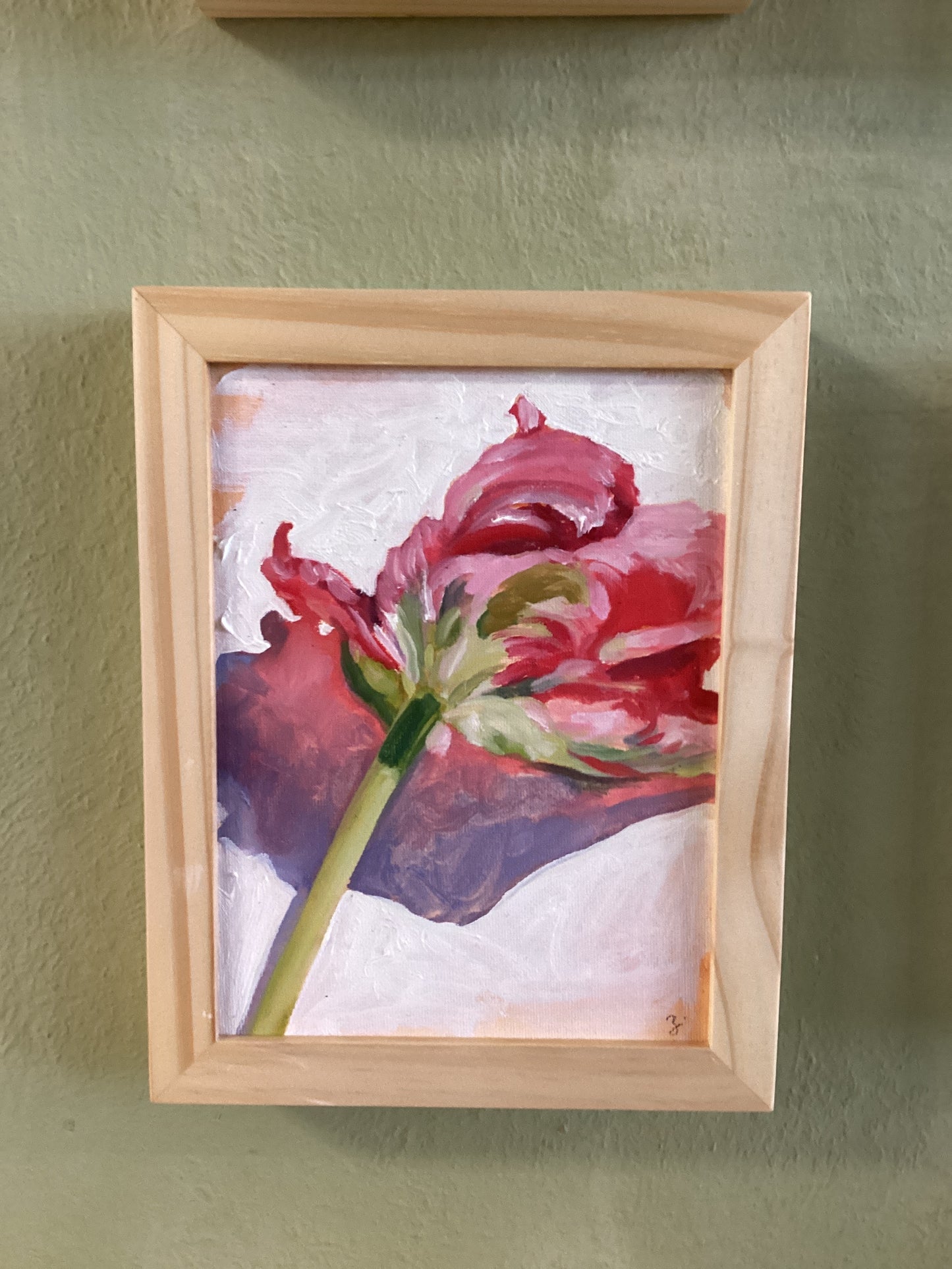 Strawberry Tulip Study I