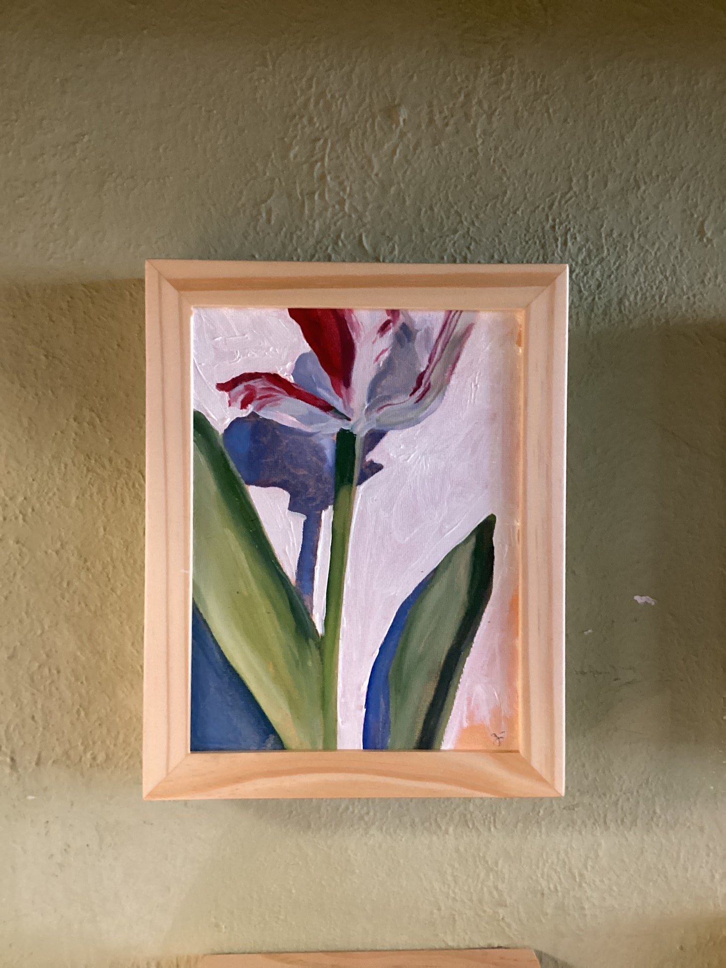 Striped Tulip Study 1