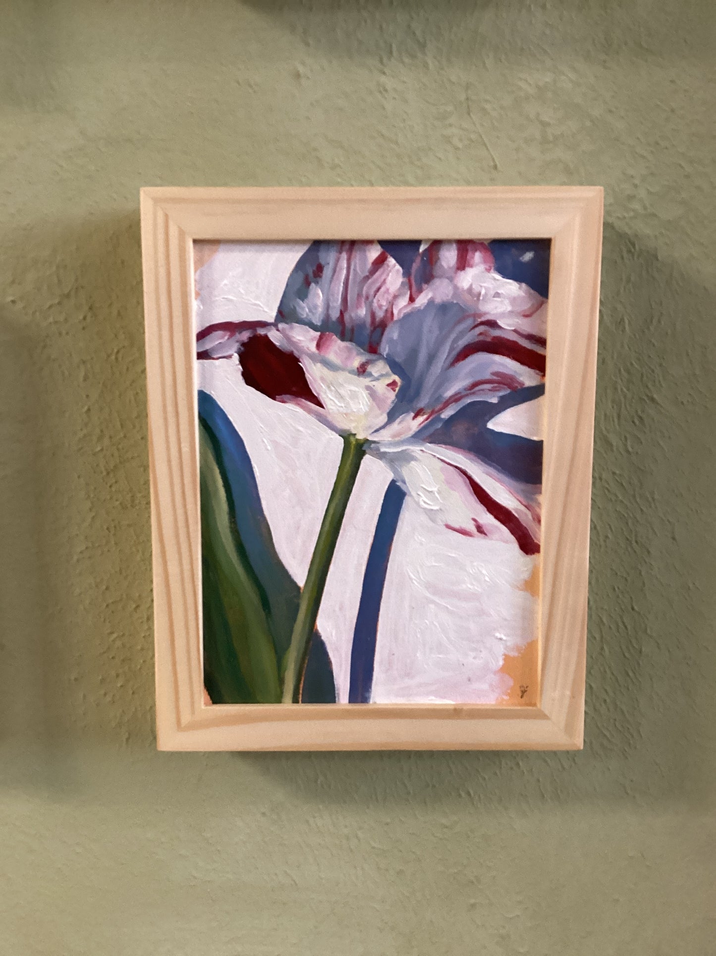 Stripped Tulip Study III