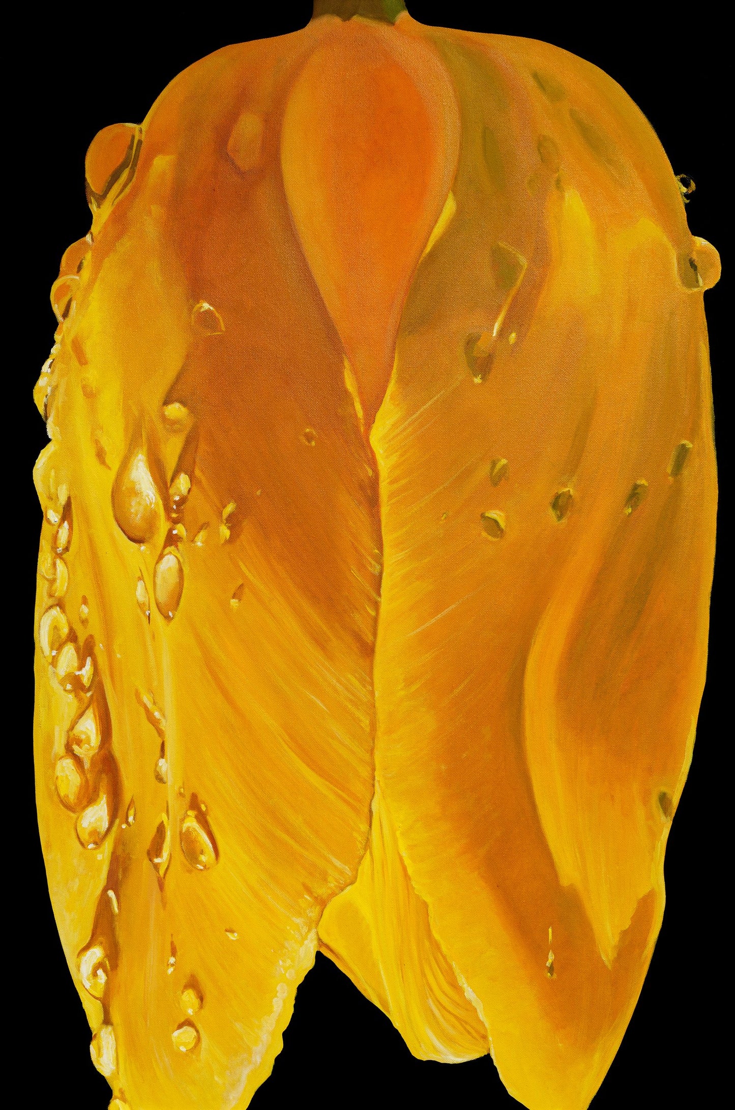 Yellow bird tulip fine art print