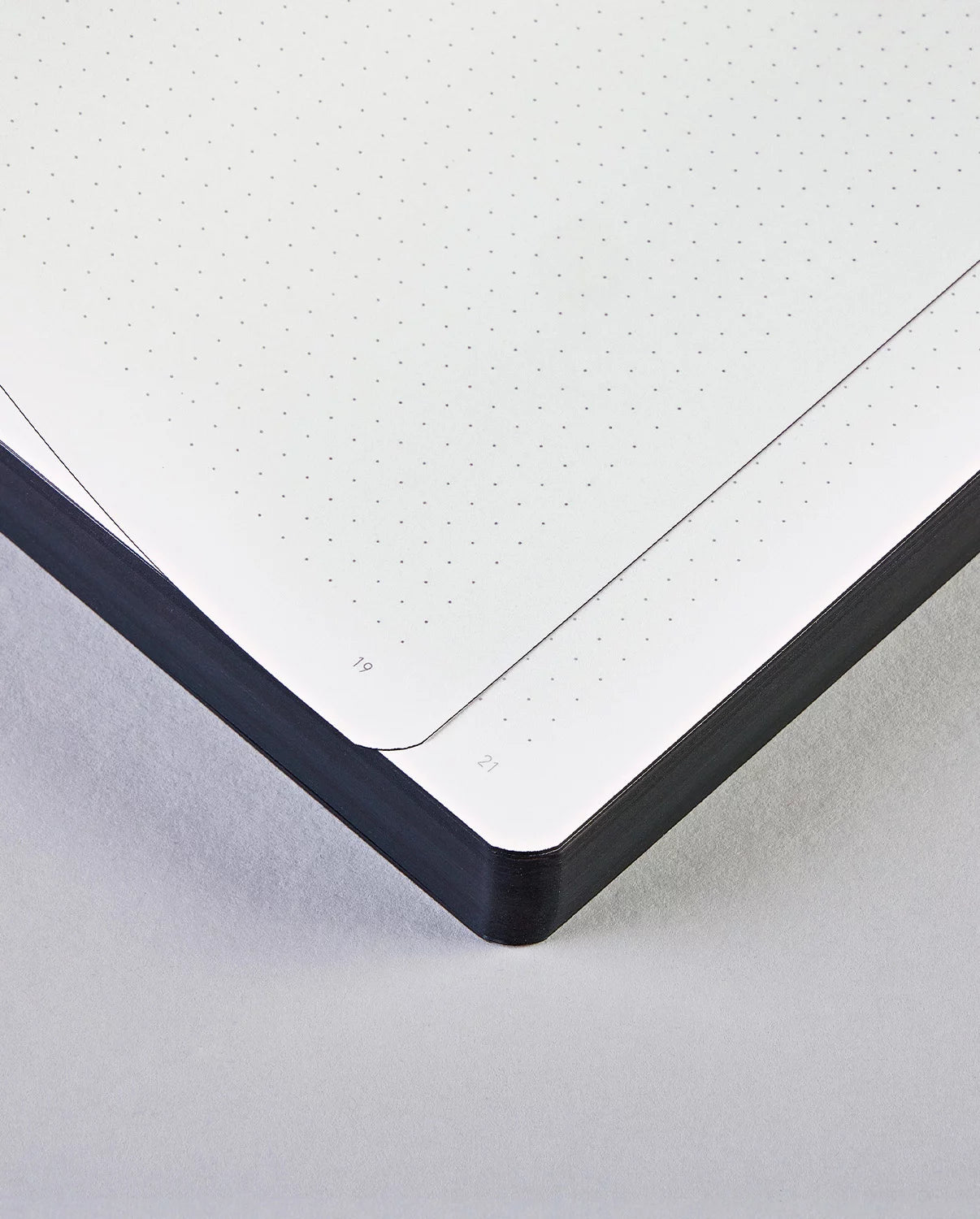 NUUNA NOTEBOOK L-FUTURE PLANS