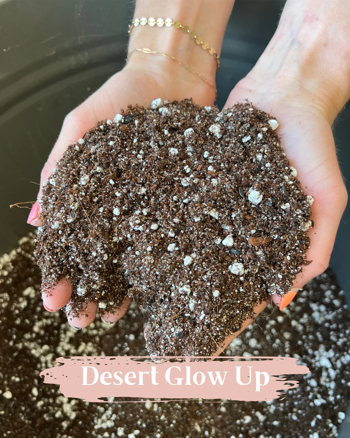 Desert Glow Up
