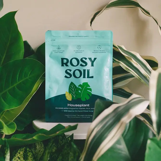 RosyHouseplant Soil 4qt