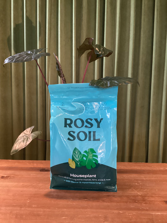 Rosy Houseplant Soil 8qt