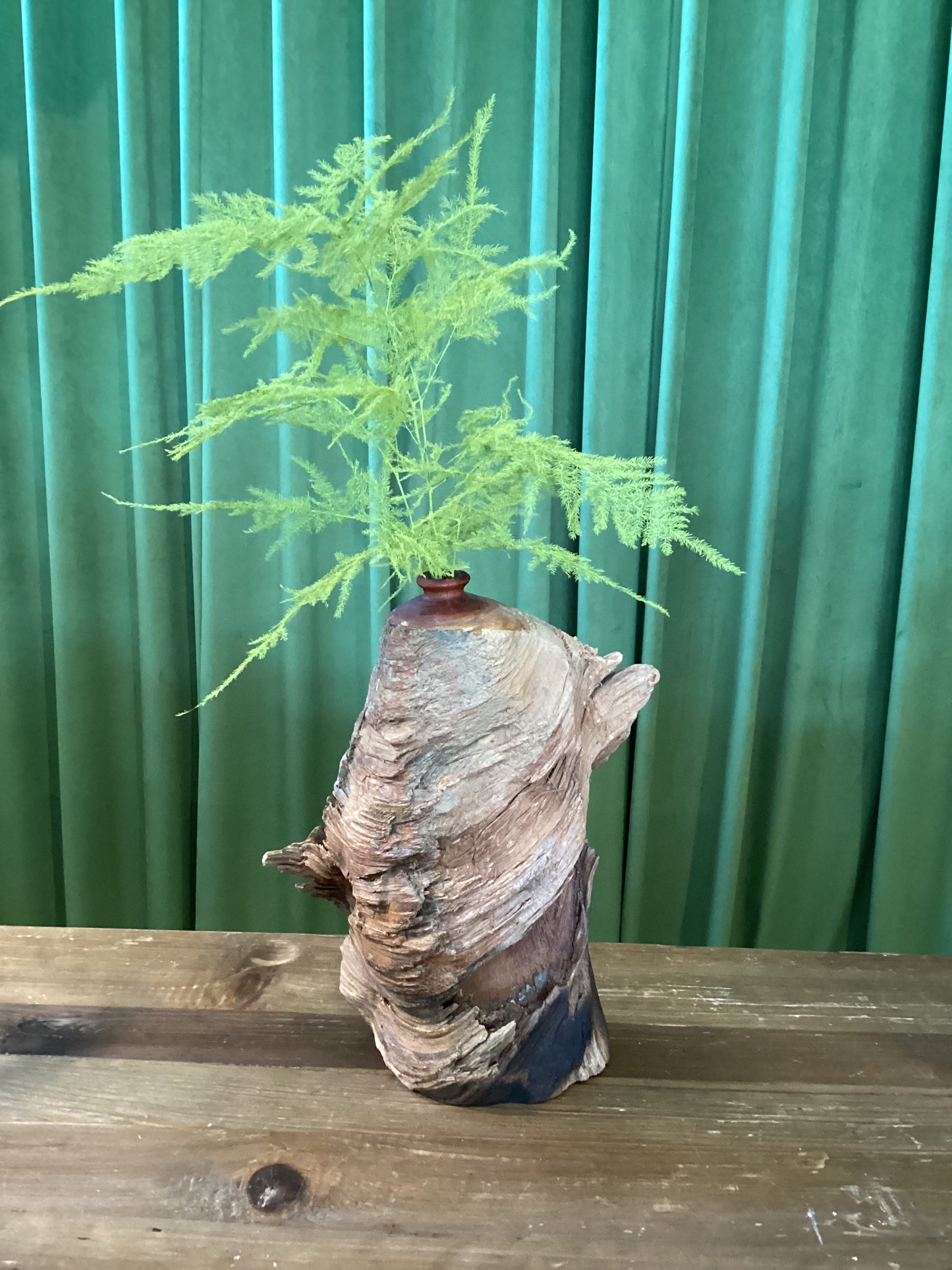 Petrified Wood Vase