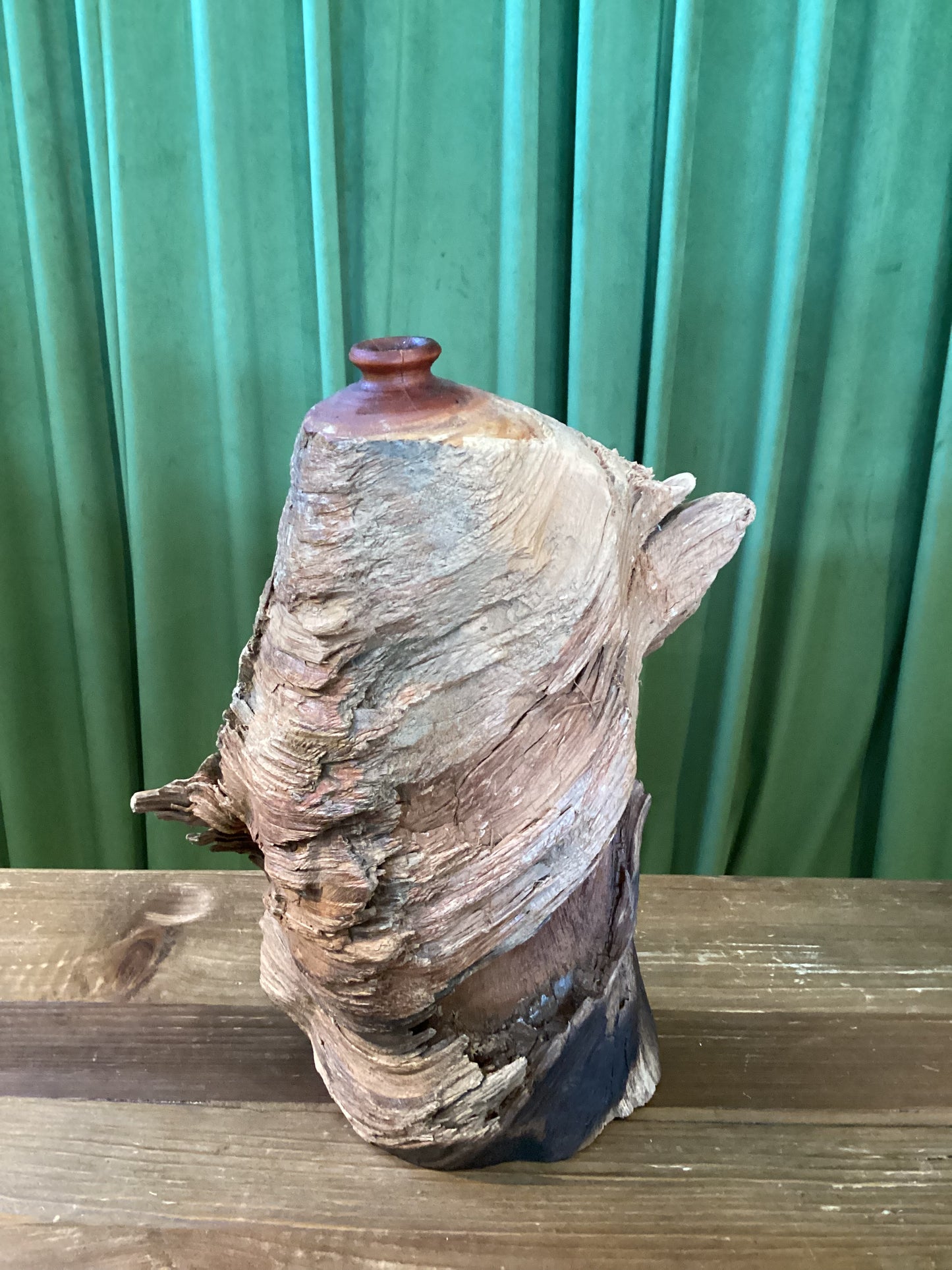 Petrified Wood Vase