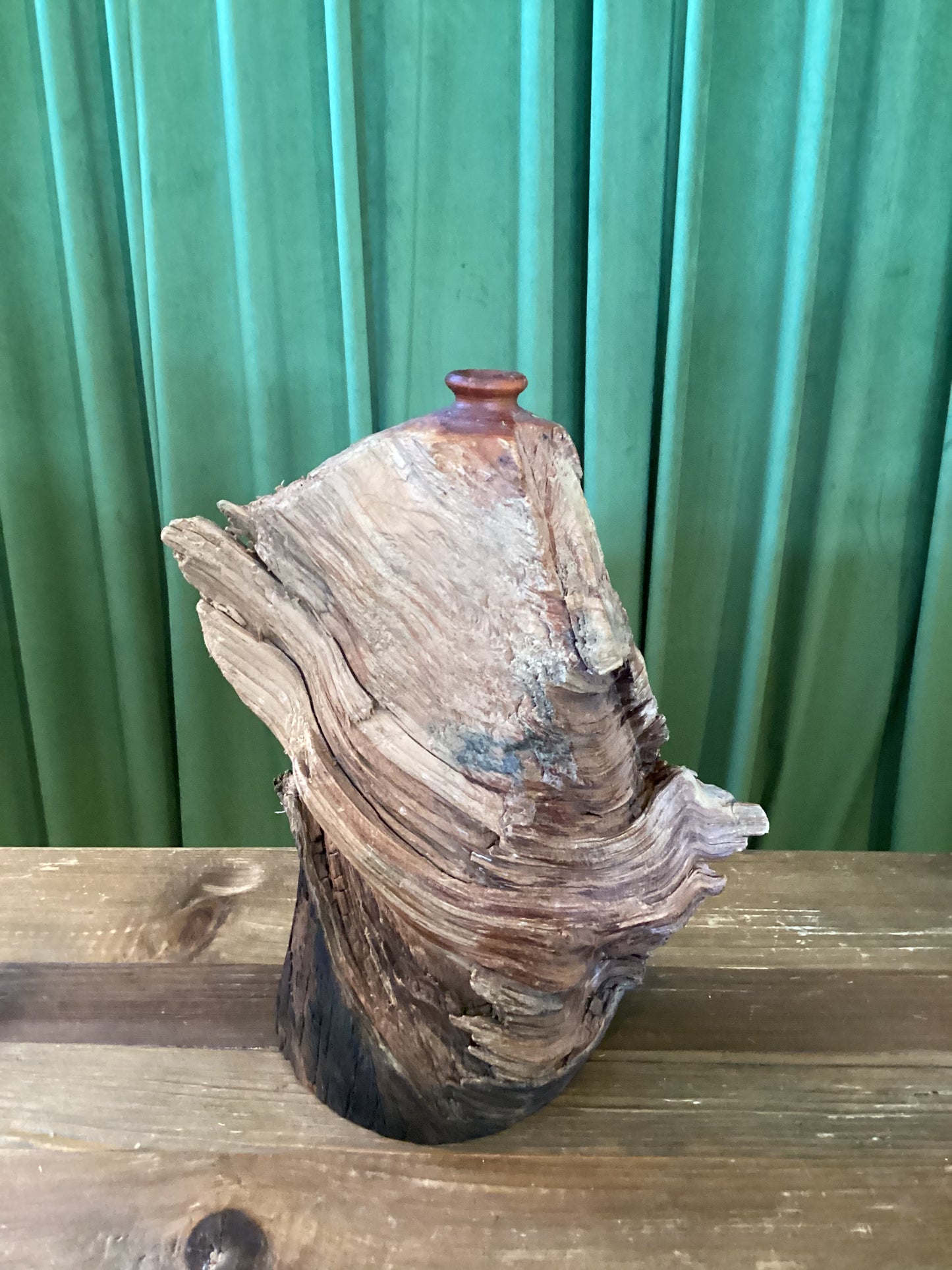 Petrified Wood Vase