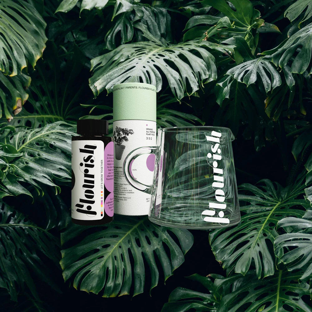 Flourish All-Purpose Plant Food Kit