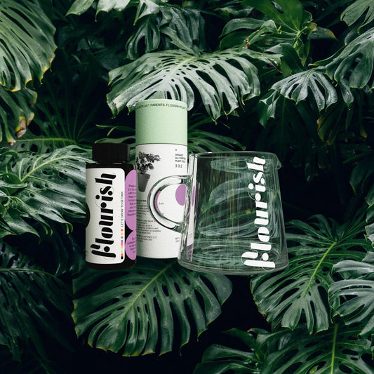 Flourish All-Purpose Plant Food Kit