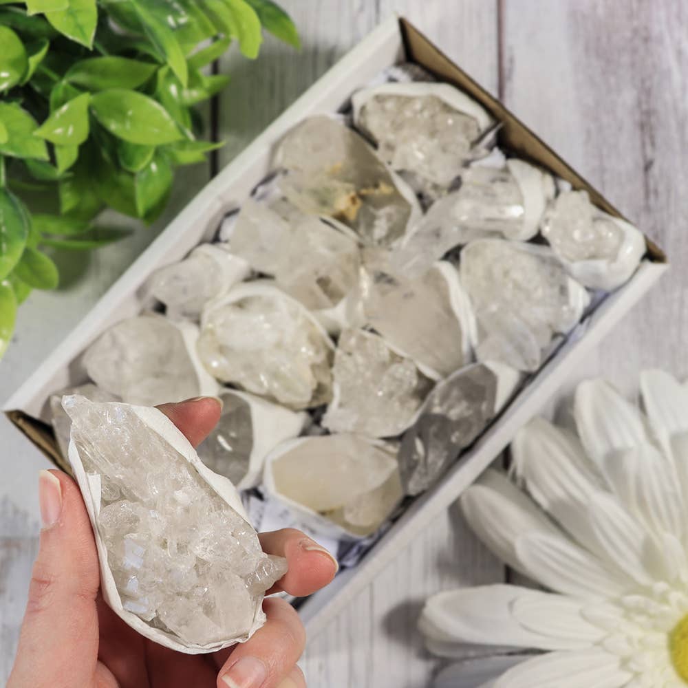 Clear Quartz Clusters in a Flat (Small)