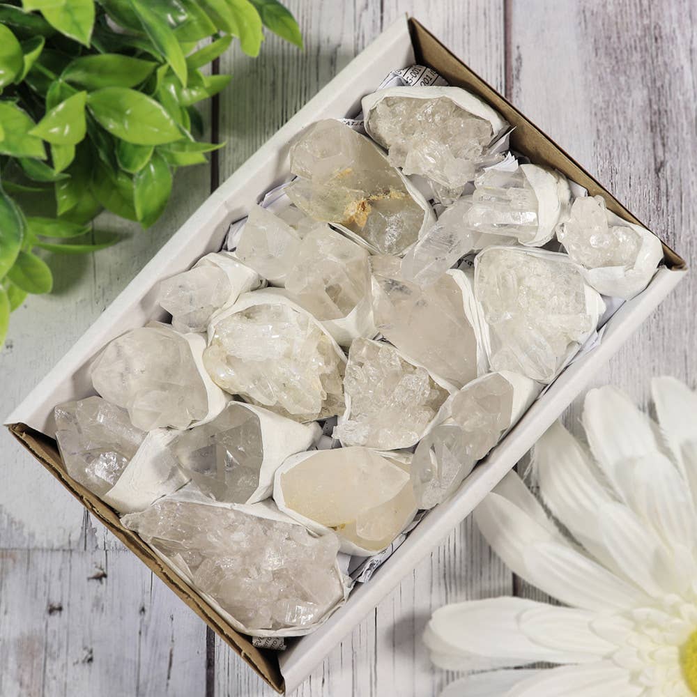 Clear Quartz Clusters in a Flat (Small)