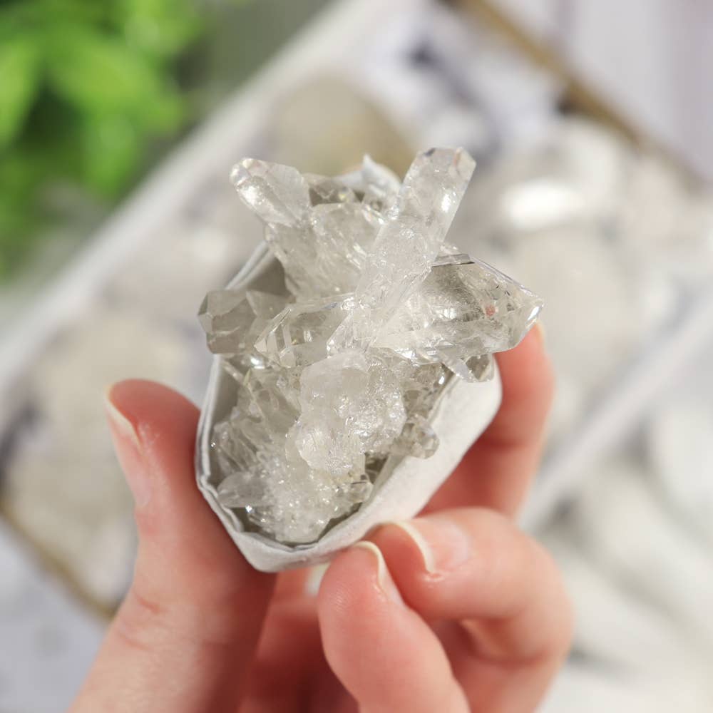 Clear Quartz Clusters in a Flat (Small)